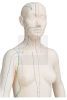 Vrouwelijk acupunctuurmodel deluxe circa 71 cm vergroot